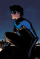 31- Dick Grayson