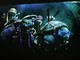 2014 tmnt movie