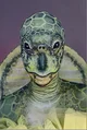 Humanoid turtle 