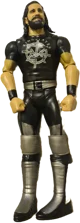 Seth Rollins figure