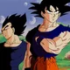 Goku and Vegeta