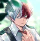 Shoto Todoroki