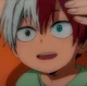 Shoto Todoroki 