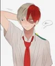 Shoto todoroki