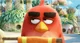Red-angry birds