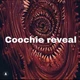 Coochie reveal