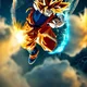 goku for fight rp