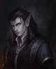 Dark Elf Husband