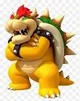 BOWSER WONDER