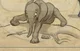 Lev Haiba ELEPHANT_3