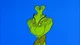 The grinch