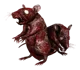 Weird Rat thing