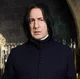 Snape 
