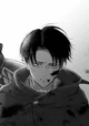 Levi Ackerman