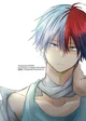 Shoto todoroki 