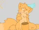 Catte