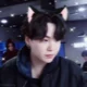 Cat suga