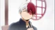 Shoto Todoroki 