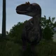 Allosaurus 
