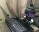 Uzi on Computer