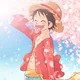 Monkey D Luffy