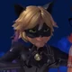 Chat Noir