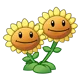 Twin Sunflower