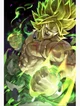Final Form Broly