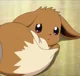 Tiny Eevee