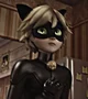 Cat Noir
