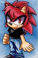 Carmine The Hedgehog