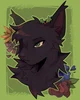 Hollyleaf