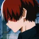 Todoroki shoto 