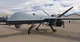 THE REAL DRONE