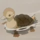 Turtle Duck