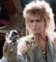 Jareth