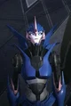 Arcee TFP