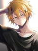 Kaminari brake up