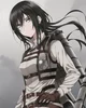 Mikasa Ackerman 