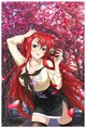 Your classmate Rias 