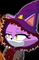 Blaze The Cat 