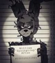 Spring trap