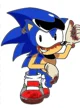 Sonic Raw