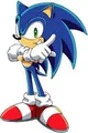 Sonic the hedgehog
