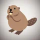 Beaver 