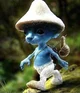 Smurf cat 