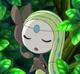 Meloetta
