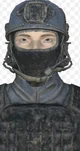 Scp sl mtf