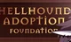 Hellhound adoption