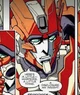 Rung